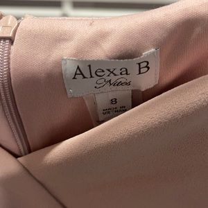 Brand new with tag dress in a powder pink or rose pink color size 8 Alexa B